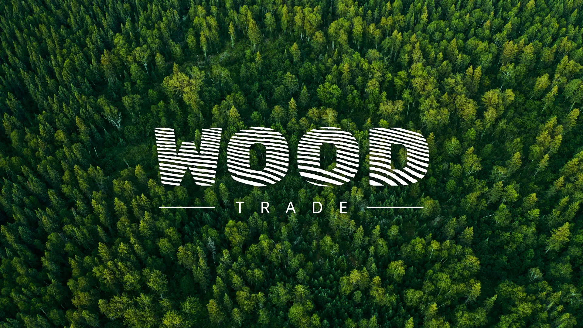 Разработка интернет-магазина компании «Wood Trade» в Серпухове