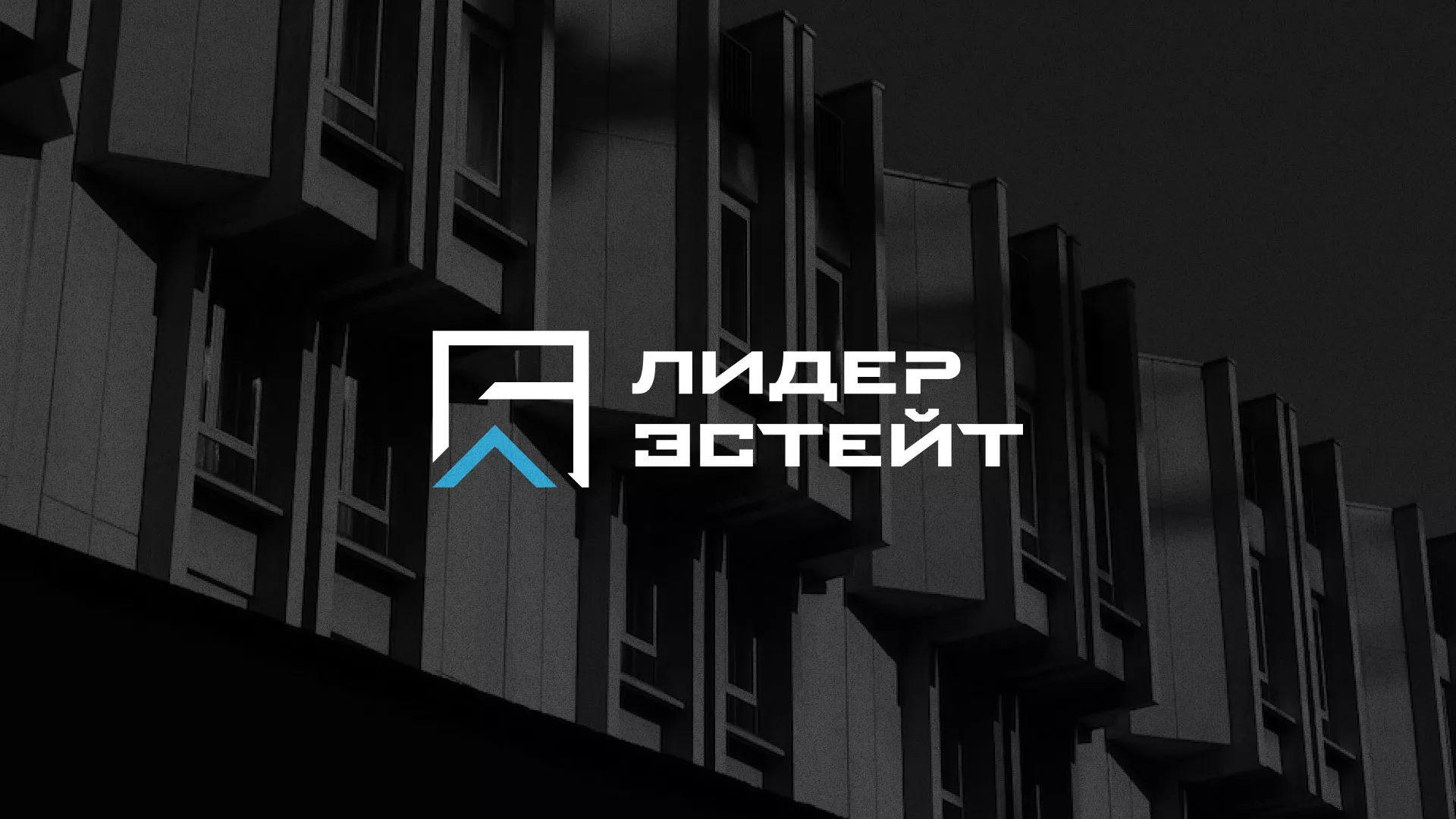 Разработка логотипа агентства недвижимости «Лидер Эстейт» в Серпухове